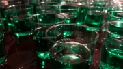 FavouritesFilmFestival_22